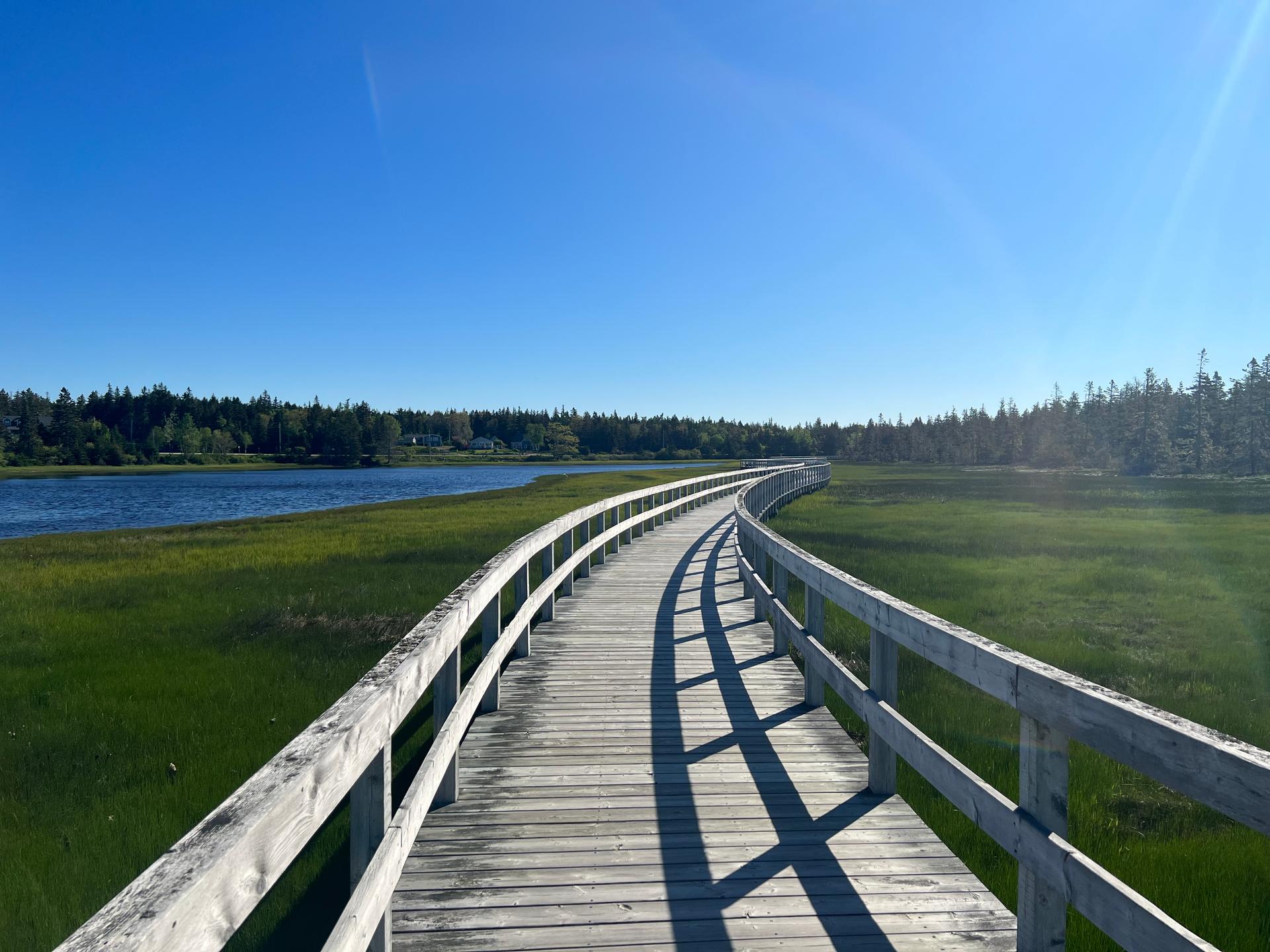 line background image